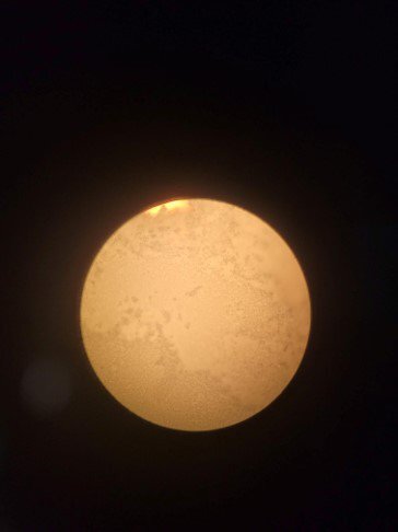 图为 已使用的 THERMO FISHER SCIENTIFIC DXR2 待售