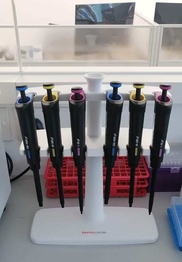 Photo Used THERMO FISHER SCIENTIFIC Finnpipette F2 For Sale