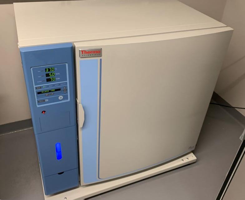 Photo Used THERMO FISHER SCIENTIFIC Forma Steri-Cult For Sale