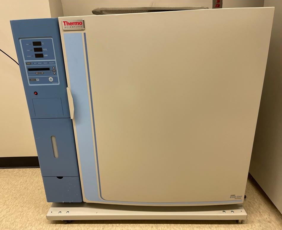 Photo Used THERMO FISHER SCIENTIFIC Forma Steri-Cult For Sale