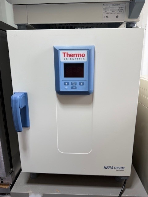 Foto Verwendet THERMO FISHER SCIENTIFIC Heratherm IGS60 Zum Verkauf