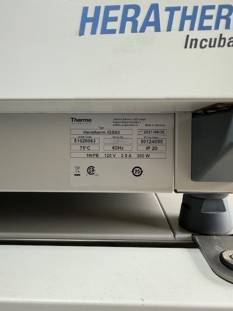 Foto Verwendet THERMO FISHER SCIENTIFIC Heratherm IGS60 Zum Verkauf