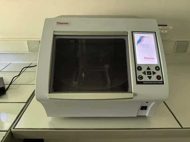 Foto Verwendet THERMO FISHER SCIENTIFIC KingFisher Duo Prime Zum Verkauf