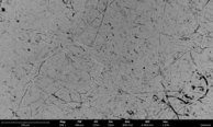 Photo Utilisé THERMO FISHER SCIENTIFIC Phenom XL G2 À vendre
