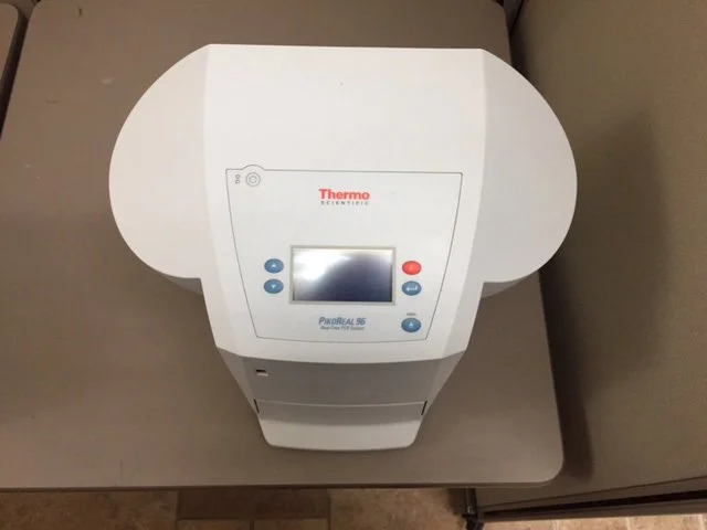 中古 THERMO FISHER SCIENTIFIC PikoReal 96 #9166622 を販売中