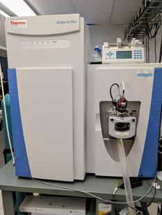 THERMO FISHER SCIENTIFIC QE Plus #293823925