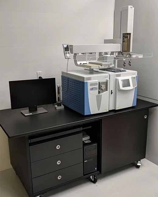 Photo Used THERMO FISHER SCIENTIFIC TRACE 1310 For Sale