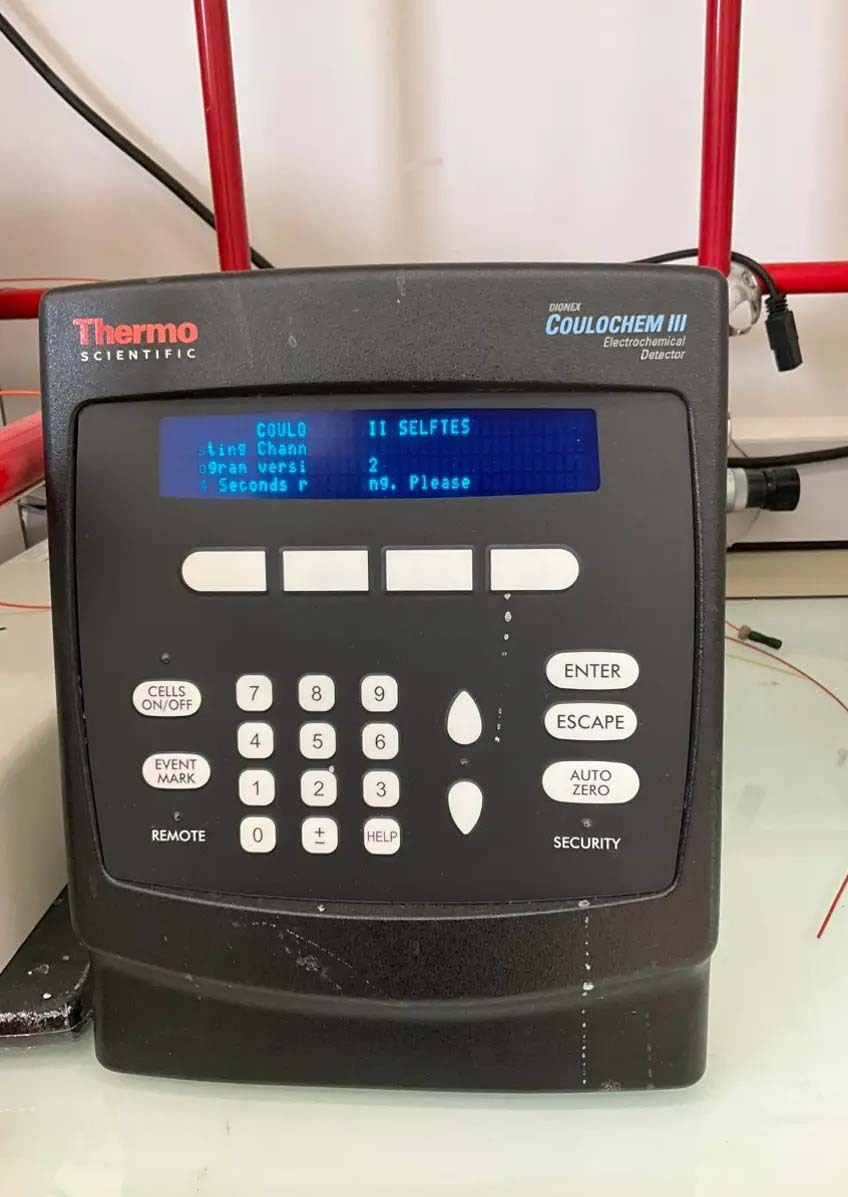 Photo Used THERMO SCIENTIFIC / DIONEX HPLC System For Sale