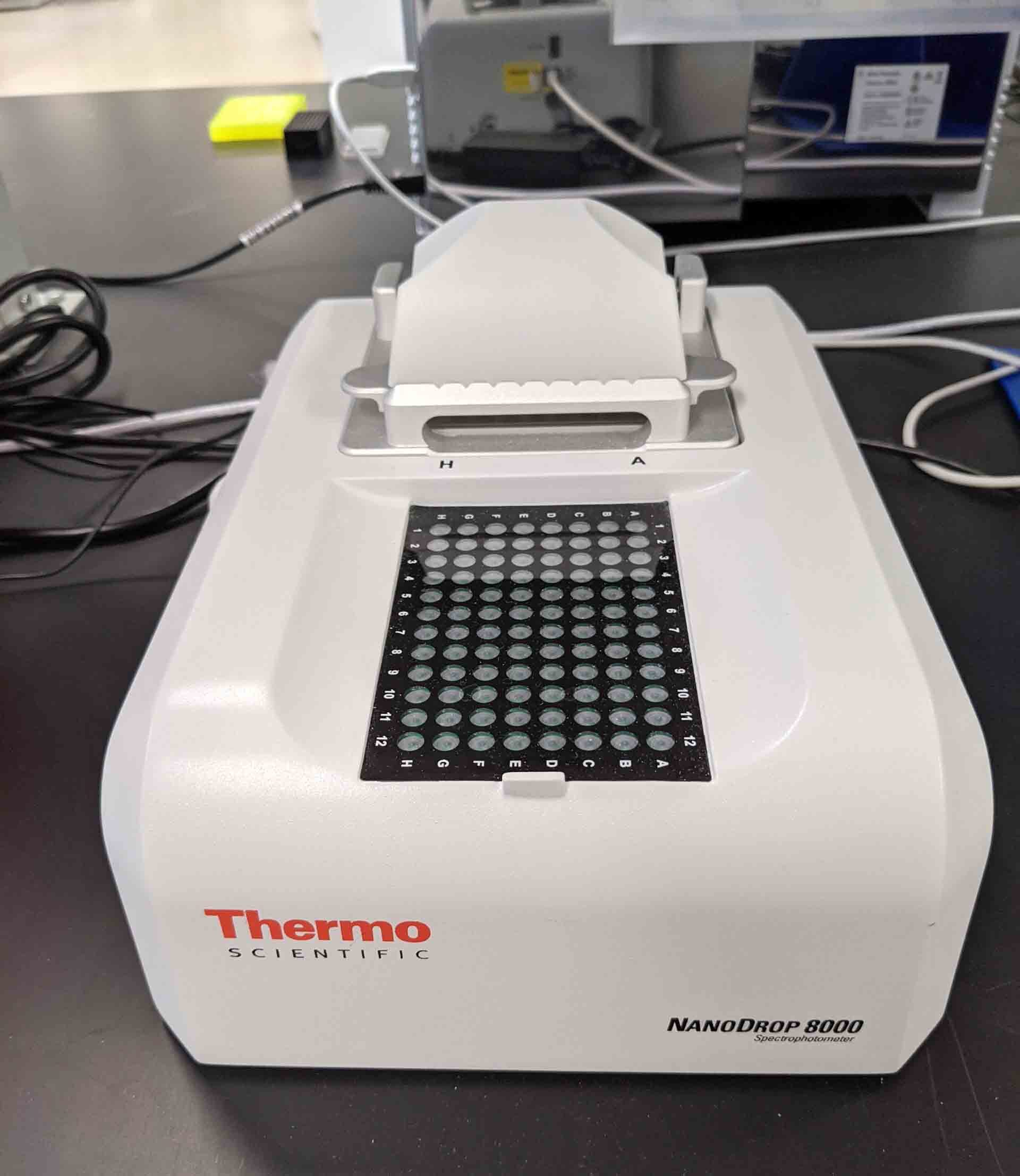 Foto Verwendet THERMO SCIENTIFIC / FORMA NanoDrop 8000 Zum Verkauf