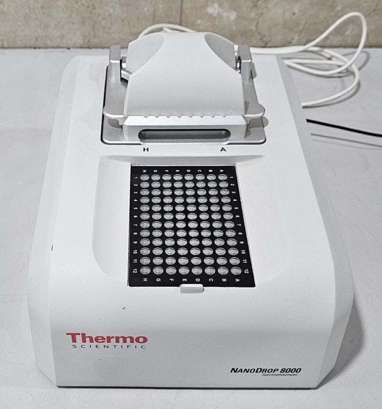 フォト（写真） 使用される THERMO FISHER SCIENTIFIC NanoDrop 8000 販売のために