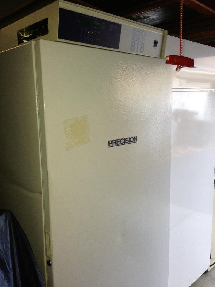 Photo Used THERMO SCIENTIFIC PRECISION 818 For Sale