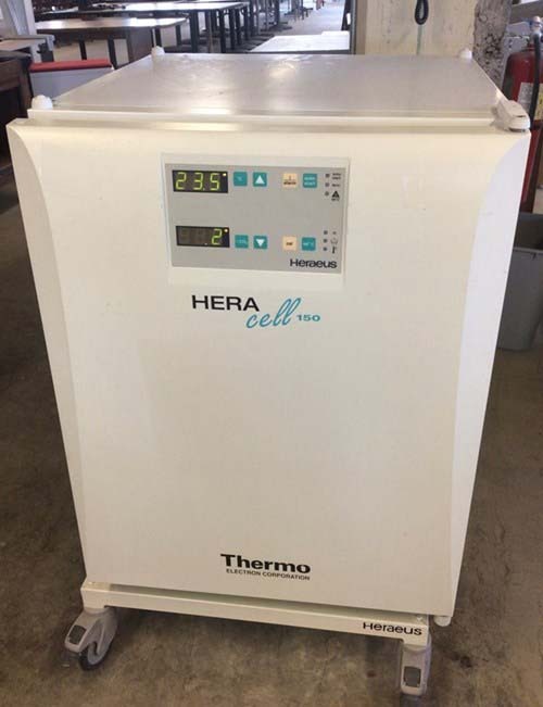 Foto Verwendet THERMO SCIENTIFIC Heracell 150 Zum Verkauf