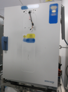 THERMO SCIENTIFIC Heratherm OMH180 #293824401