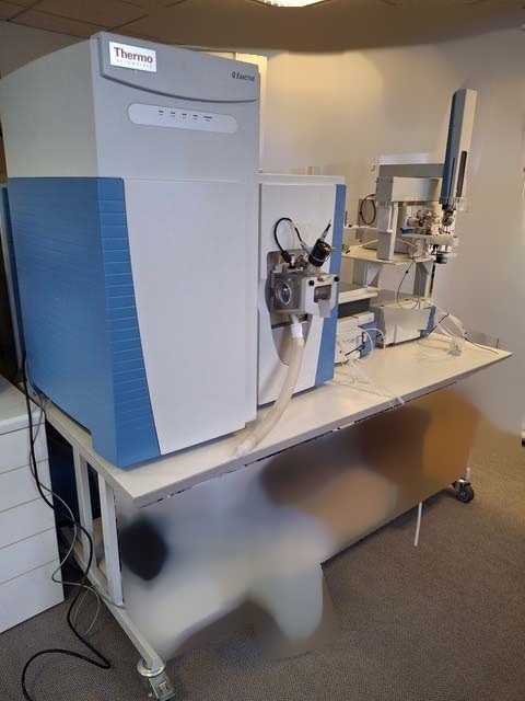 Foto Verwendet THERMO SCIENTIFIC Q Exactive Zum Verkauf