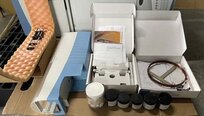 사진 사용됨 THERMO SCIENTIFIC Trace GC Ultra 판매용