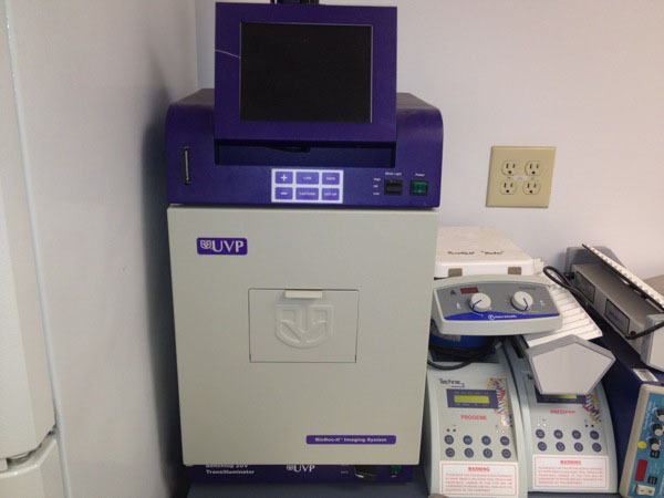 Photo Used UVP BioDoc-IT For Sale