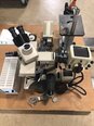 图为 已使用的 VARIOUS Lot of (2) Microscopes 待售