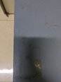 Photo Used VARIOUS Lot of power supplies For Sale