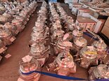사진 사용됨 VARIOUS Lot of pumps 판매용