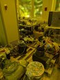 フォト（写真） 使用される VARIOUS Vacuum pumps 販売のために
