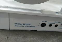 Photo Used WHITLEY DG250 For Sale