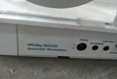 Photo Utilisé WHITLEY DG250 À vendre