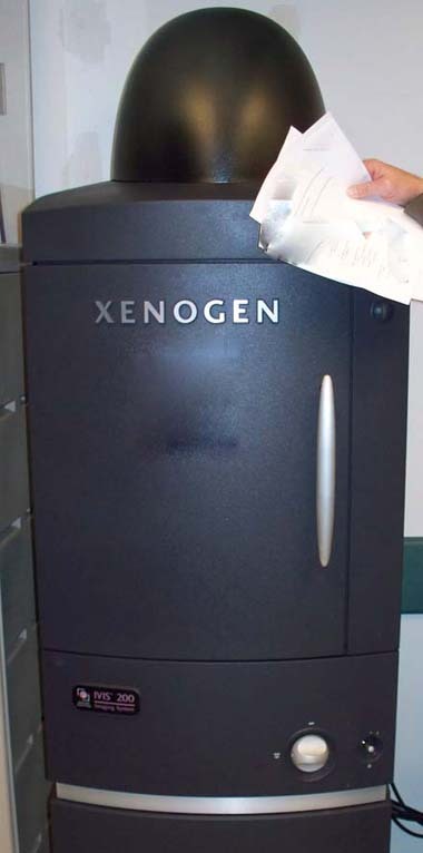 圖為 已使用的 XENOGEN IVIS 200 待售