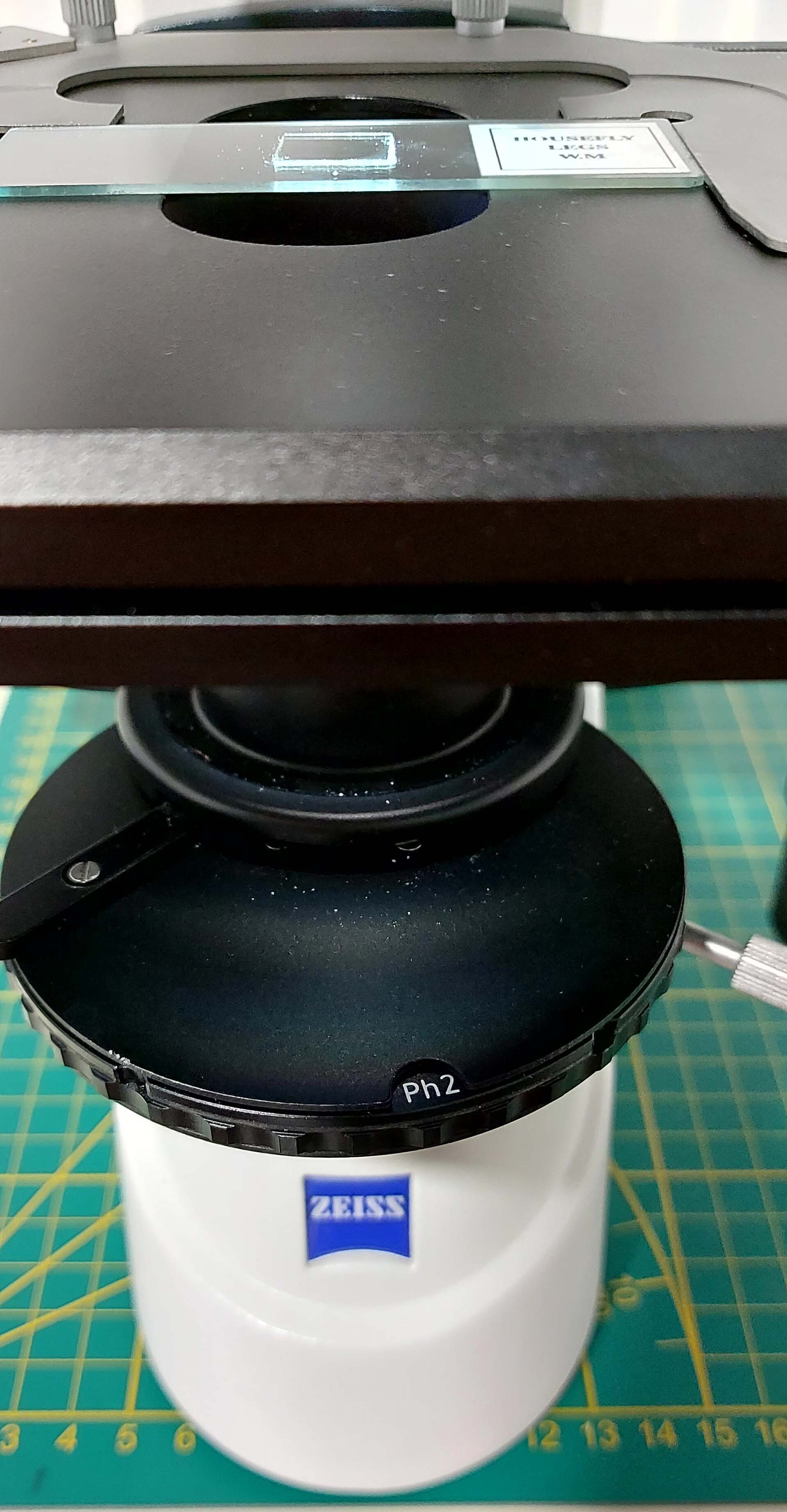 Photo Utilisé CARL ZEISS Axio lab A1 À vendre