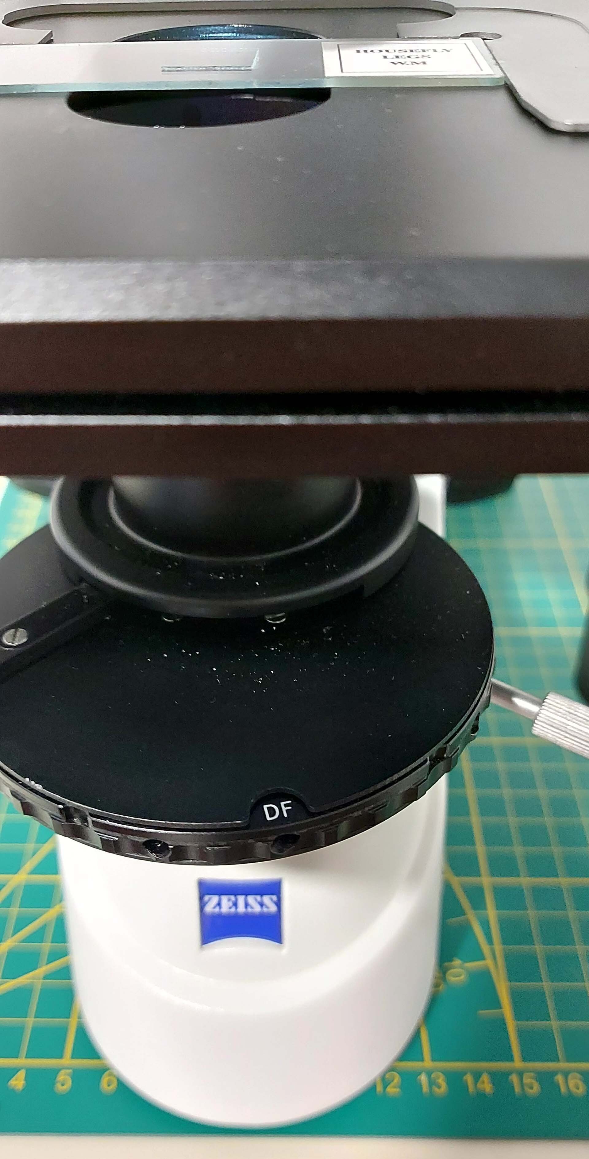 Photo Utilisé CARL ZEISS Axio lab A1 À vendre