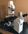 ZEISS Axiovert S 100