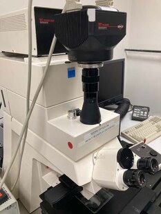 ZEISS LSM 330 #293793927