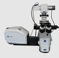 ZEISS LSM 800