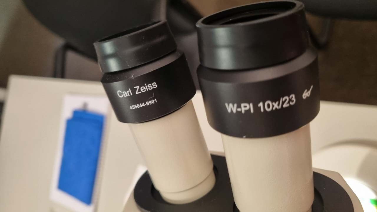 フォト（写真） 使用される ZEISS Stemi 2000 販売のために