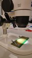 フォト（写真） 使用される ZEISS Stemi 2000 販売のために