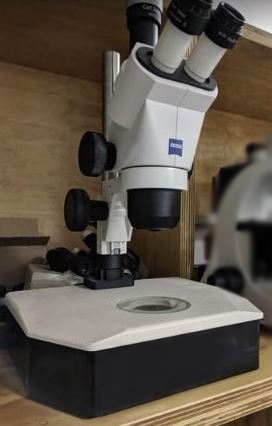 Photo Used ZEISS Stemi 2000 For Sale