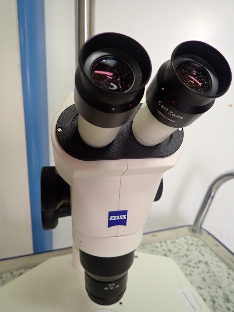 Photo Used ZEISS Stemi 2000 For Sale