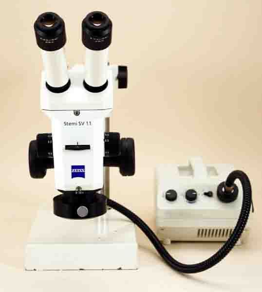 Photo Used ZEISS Stemi SV11 For Sale