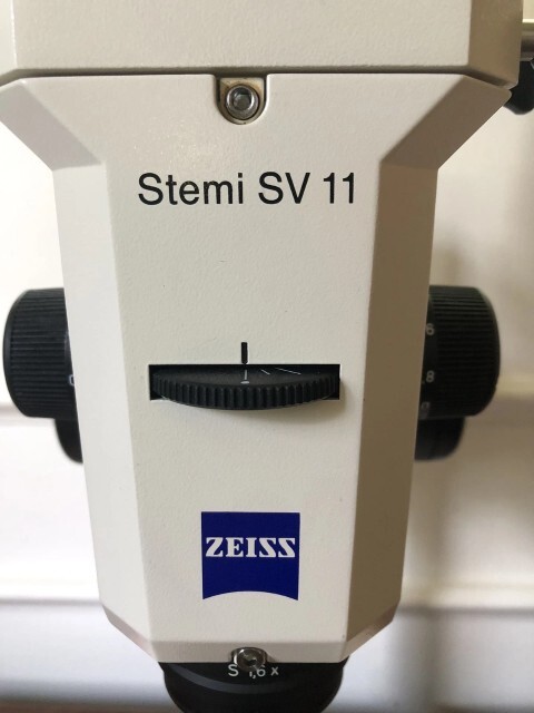 フォト（写真） 使用される ZEISS Stemi SV11 販売のために