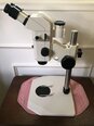 フォト（写真） 使用される ZEISS Stemi SV11 販売のために
