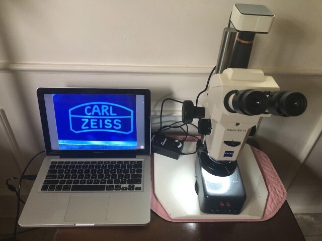 フォト（写真） 使用される ZEISS Stemi SV11 販売のために