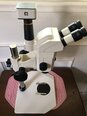 フォト（写真） 使用される ZEISS Stemi SV11 販売のために