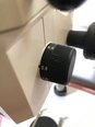 フォト（写真） 使用される ZEISS Stemi SV11 販売のために