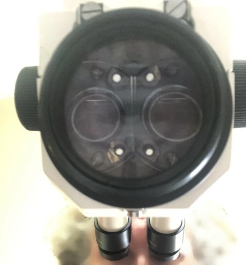 フォト（写真） 使用される ZEISS Stemi SV11 販売のために